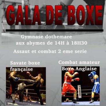 Boxe Anglaise: Elias bouguerba et Nicolas urie, Gala en Guadeloupe ce Weed-end